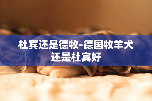 杜賓還是德牧-德國牧羊犬還是杜賓好