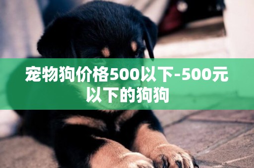 寵物狗價格500以下-500元以下的狗狗