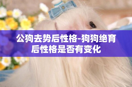公狗去勢后性格-狗狗絕育后性格是否有變化