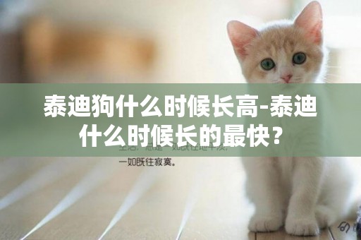 泰迪狗什么時候長高-泰迪什么時候長的最快？