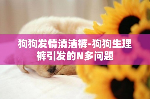 狗狗發情清潔褲-狗狗生理褲引發的N多問題