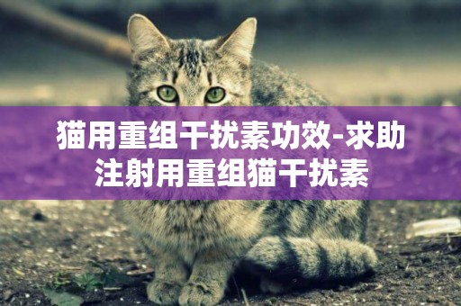 貓用重組干擾素功效-求助注射用重組貓干擾素