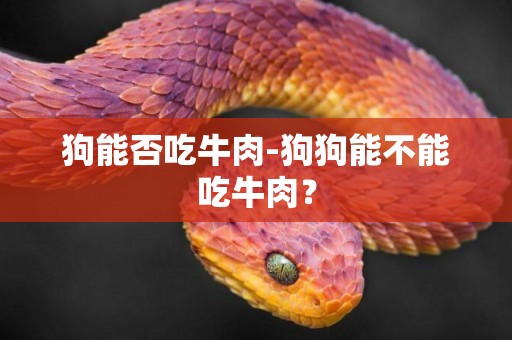 狗能否吃牛肉-狗狗能不能吃牛肉？