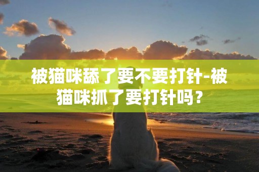 被貓咪舔了要不要打針-被貓咪抓了要打針嗎？