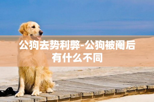 公狗去勢利弊-公狗被閹后有什么不同