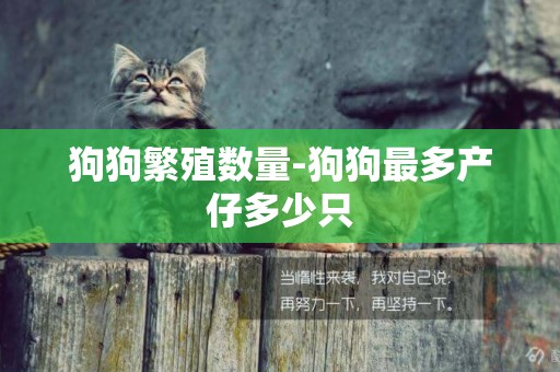 狗狗繁殖數量-狗狗最多產仔多少只