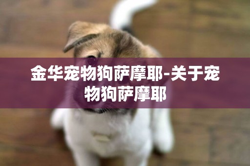 金華寵物狗薩摩耶-關于寵物狗薩摩耶