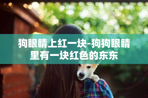 狗眼睛上紅一塊-狗狗眼睛里有一塊紅色的東東