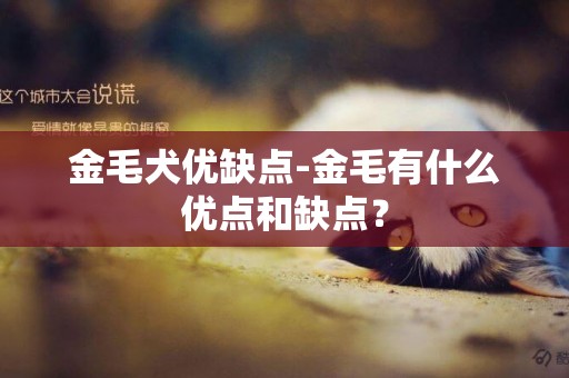 金毛犬優缺點-金毛有什么優點和缺點？