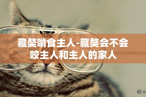藏獒啃食主人-藏獒會不會咬主人和主人的家人