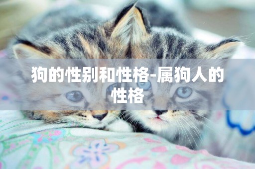 狗的性別和性格-屬狗人的性格
