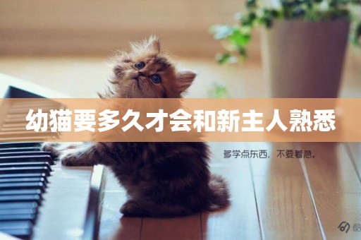 幼貓要多久才會和新主人熟悉