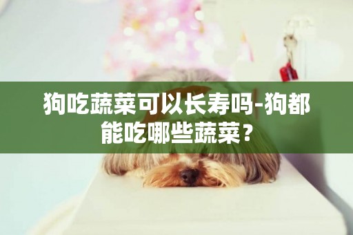 狗吃蔬菜可以長壽嗎-狗都能吃哪些蔬菜？