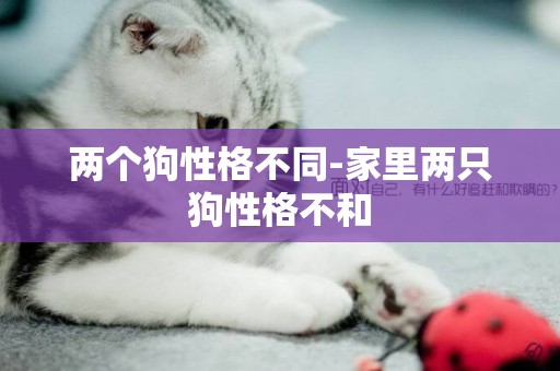 兩個狗性格不同-家里兩只狗性格不和