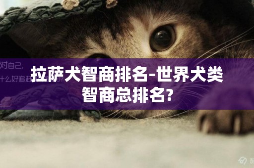 拉薩犬智商排名-世界犬類智商總排名?