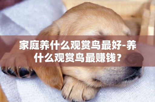 家庭養什么觀賞鳥最好-養什么觀賞鳥最賺錢？