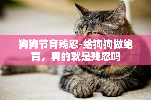 狗狗節育殘忍-給狗狗做絕育，真的就是殘忍嗎