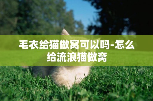 毛衣給貓做窩可以嗎-怎么給流浪貓做窩
