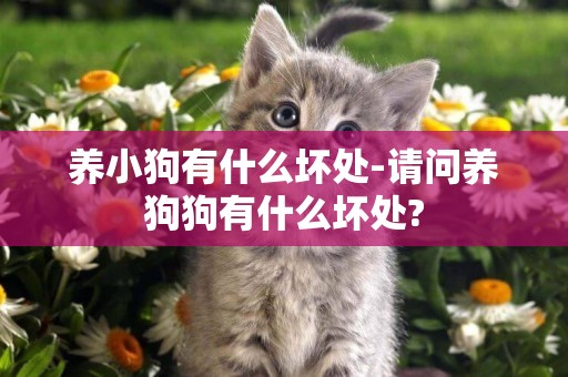 養小狗有什么壞處-請問養狗狗有什么壞處?