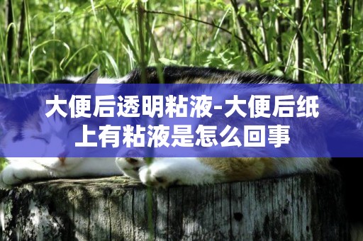 大便后透明粘液-大便后紙上有粘液是怎么回事