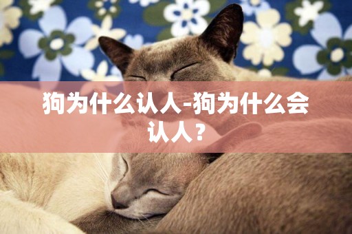 狗為什么認人-狗為什么會認人？