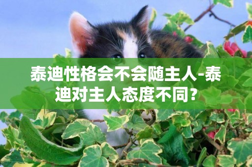泰迪性格會不會隨主人-泰迪對主人態度不同？