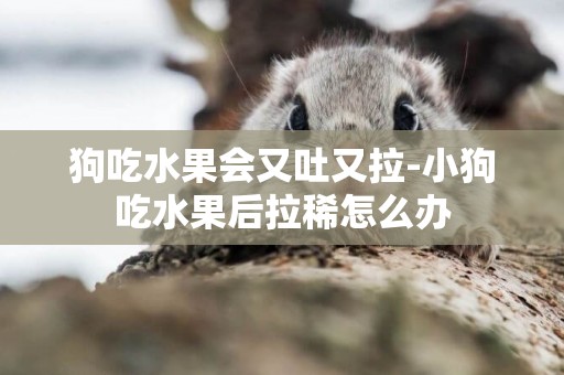 狗吃水果會又吐又拉-小狗吃水果后拉稀怎么辦