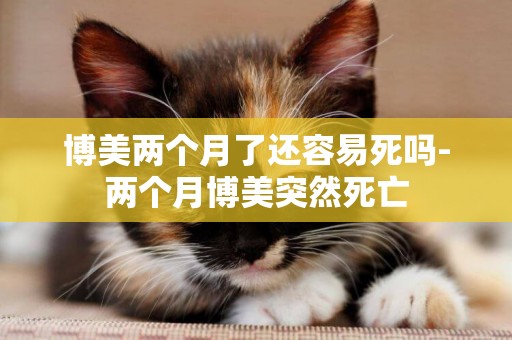 博美兩個月了還容易死嗎-兩個月博美突然死亡