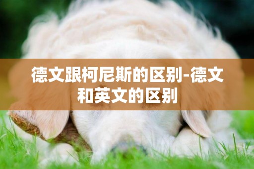 德文跟柯尼斯的區別-德文和英文的區別