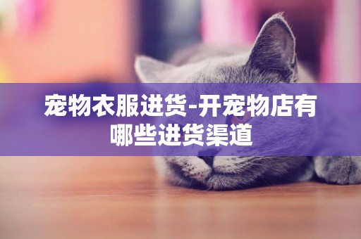 寵物衣服進貨-開寵物店有哪些進貨渠道