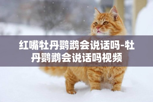 紅嘴牡丹鸚鵡會說話嗎-牡丹鸚鵡會說話嗎視頻