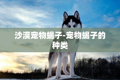 沙漠寵物蝎子-寵物蝎子的種類