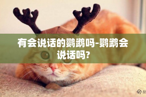有會說話的鸚鵡嗎-鸚鵡會說話嗎?