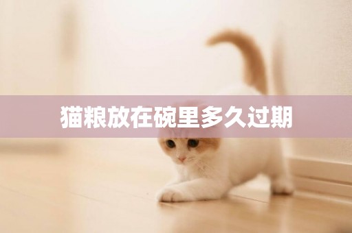 貓糧放在碗里多久過期