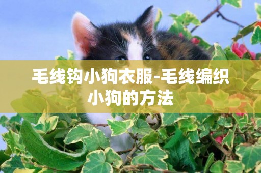 毛線鉤小狗衣服-毛線編織小狗的方法