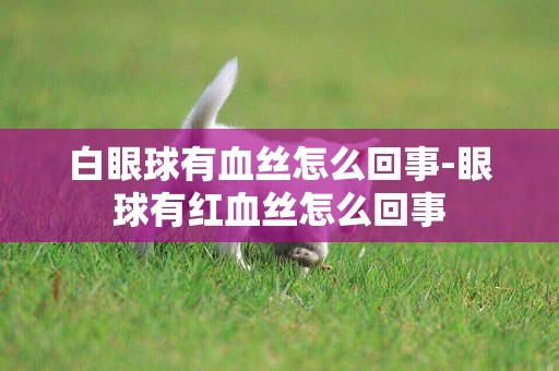 白眼球有血絲怎么回事-眼球有紅血絲怎么回事