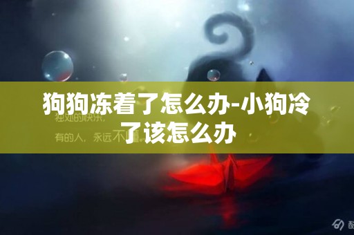 狗狗凍著了怎么辦-小狗冷了該怎么辦