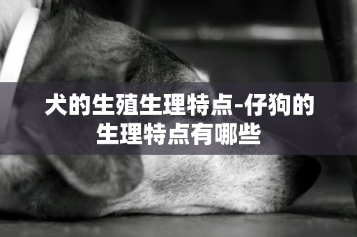 犬的生殖生理特點-仔狗的生理特點有哪些
