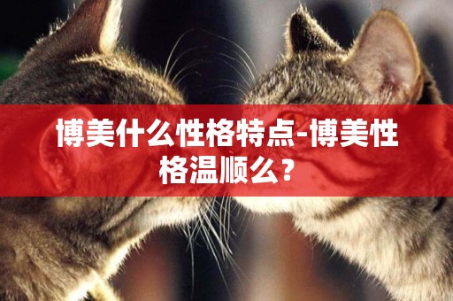 博美什么性格特點-博美性格溫順么？