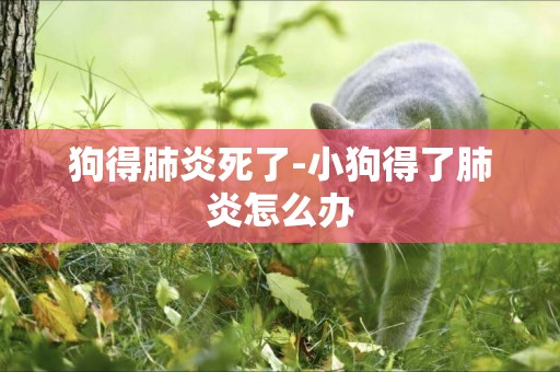 狗得肺炎死了-小狗得了肺炎怎么辦