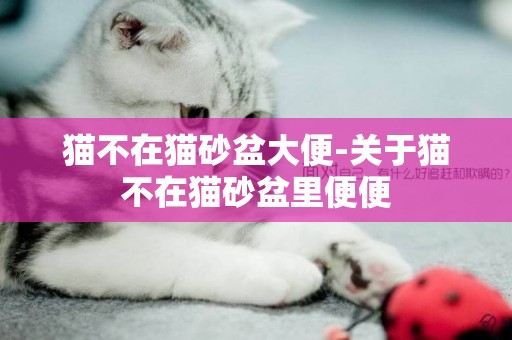 貓不在貓砂盆大便-關于貓不在貓砂盆里便便