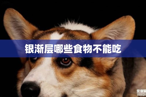 銀漸層哪些食物不能吃