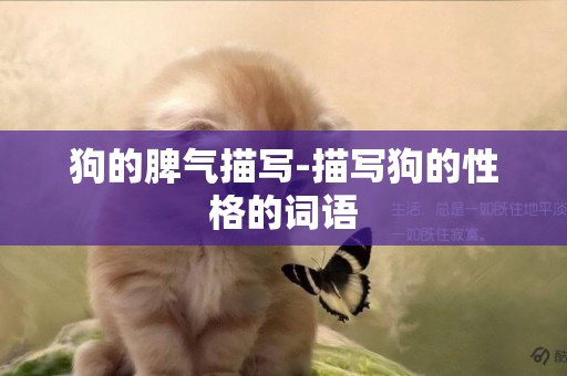 狗的脾氣描寫-描寫狗的性格的詞語