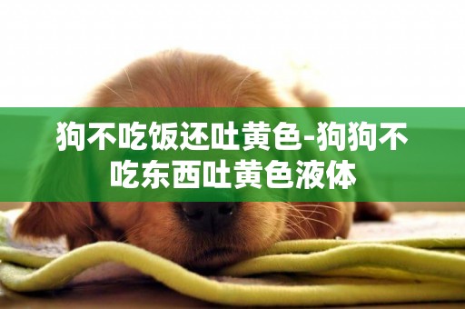 狗不吃飯還吐黃色-狗狗不吃東西吐黃色液體