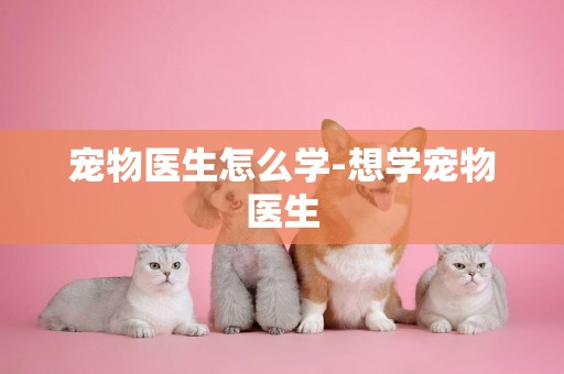 寵物醫生怎么學-想學寵物醫生