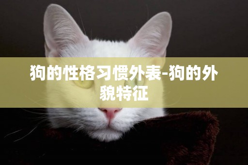 狗的性格習慣外表-狗的外貌特征