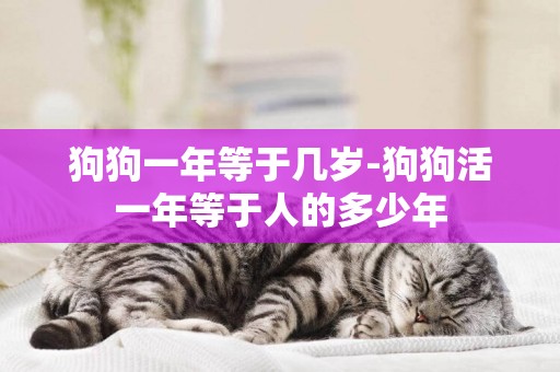 狗狗一年等于幾歲-狗狗活一年等于人的多少年