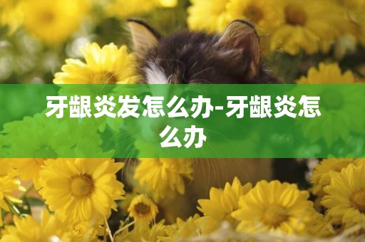 牙齦炎發怎么辦-牙齦炎怎么辦