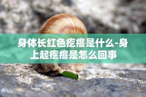 身體長紅色疙瘩是什么-身上起疙瘩是怎么回事