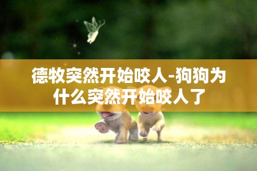德牧突然開始咬人-狗狗為什么突然開始咬人了